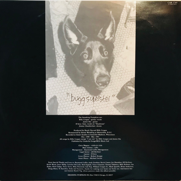  021826.newwaxwedpumpkinsgishinnerdog.jpg
